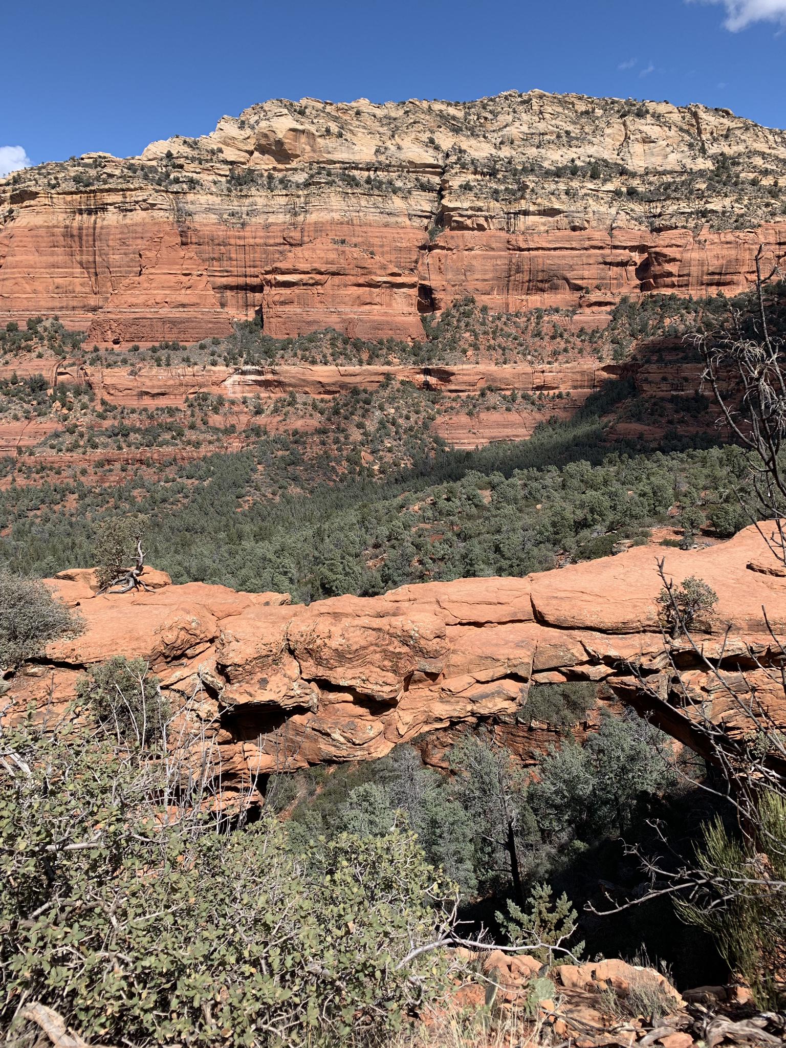 Red rock natural bridge with layered cliffs and green trees under blue sky.