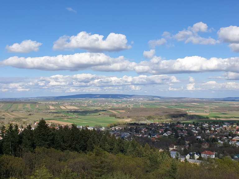 Aussichtsturm Bad Sauerbrunn Wanderungen und Rundwege komoot