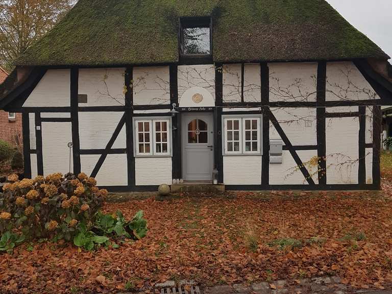 Gut Stendorf Routes for Walking and Hiking | Komoot