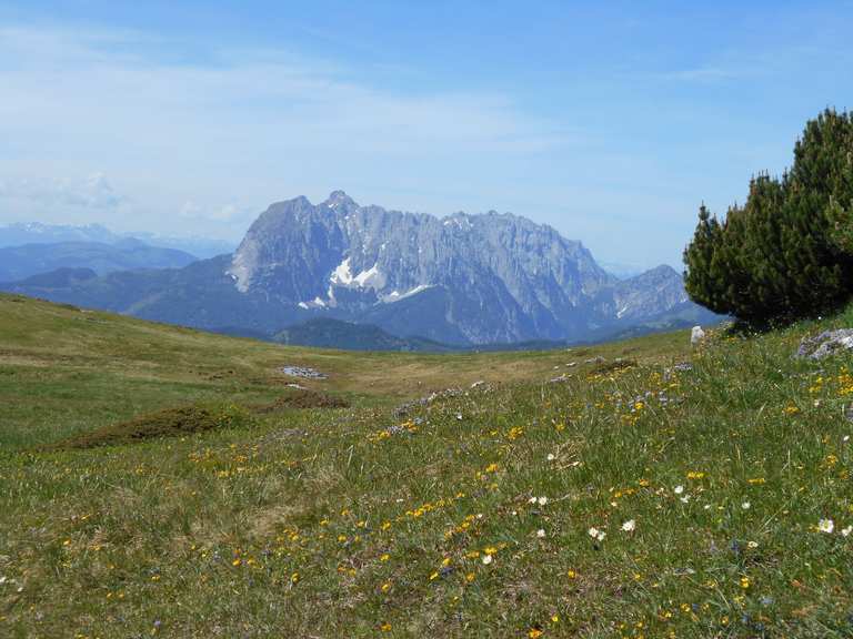 Fellhorn Gipfel Reit im Winkl, Chiemgau Wandertipps