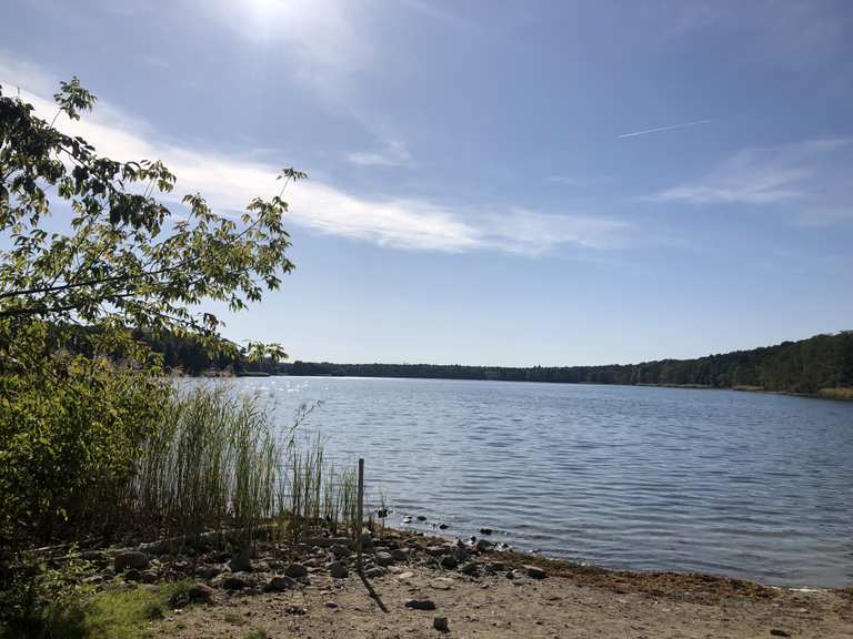 Aussicht auf den Straussee – Wege am Straussee (Waldseite) Runde von Strausberg Nord | Wanderung ...