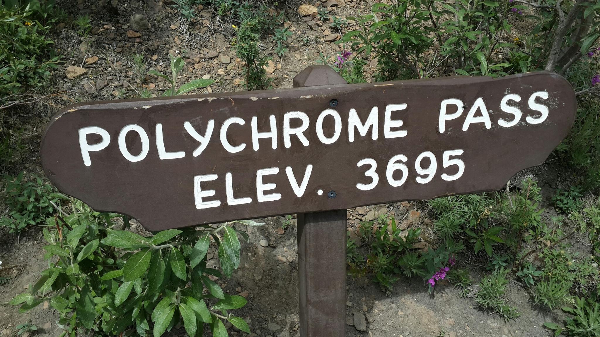 A brightly lit brown wooden sign showing an elevation of 3695, surrounded by green plants.
