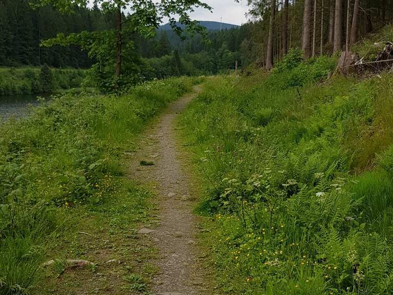 Unterer Spiegeltaler Teich MountainbikeTouren und Trails komoot