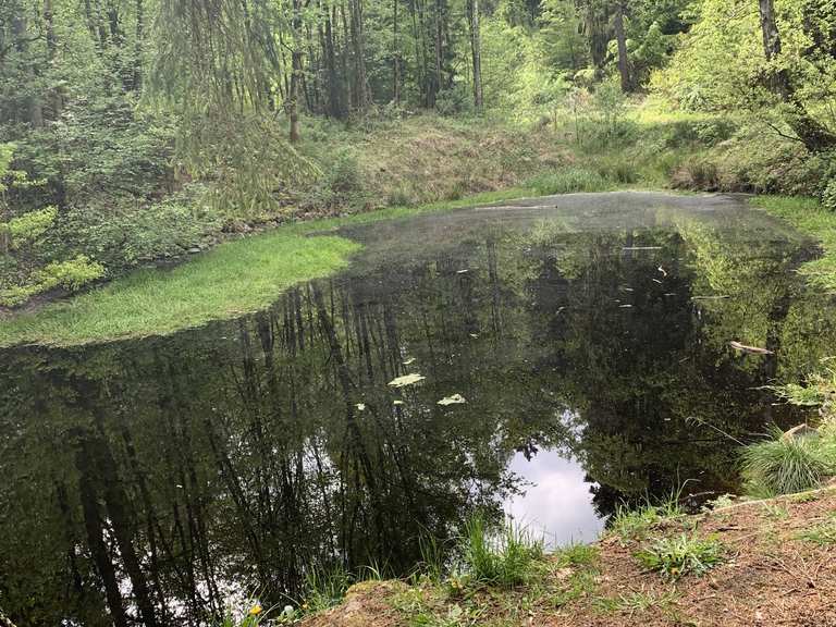 Sieben Teiche Routes for Walking and Hiking Komoot