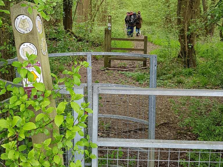 Grafton Woods (Nature Reserve) Routes for Walking and Hiking Komoot