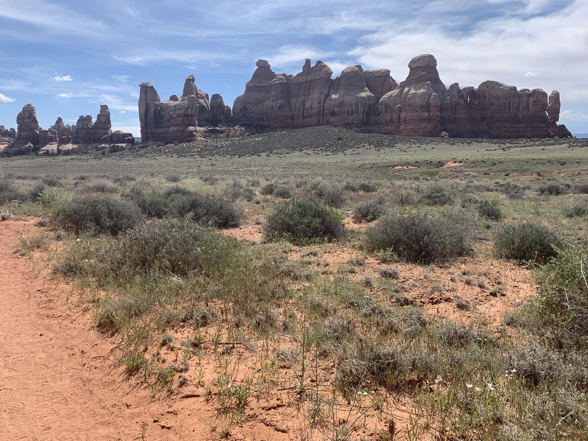 Vast desert landscape with distant red rock formations under a bright, partly cloudy sky.