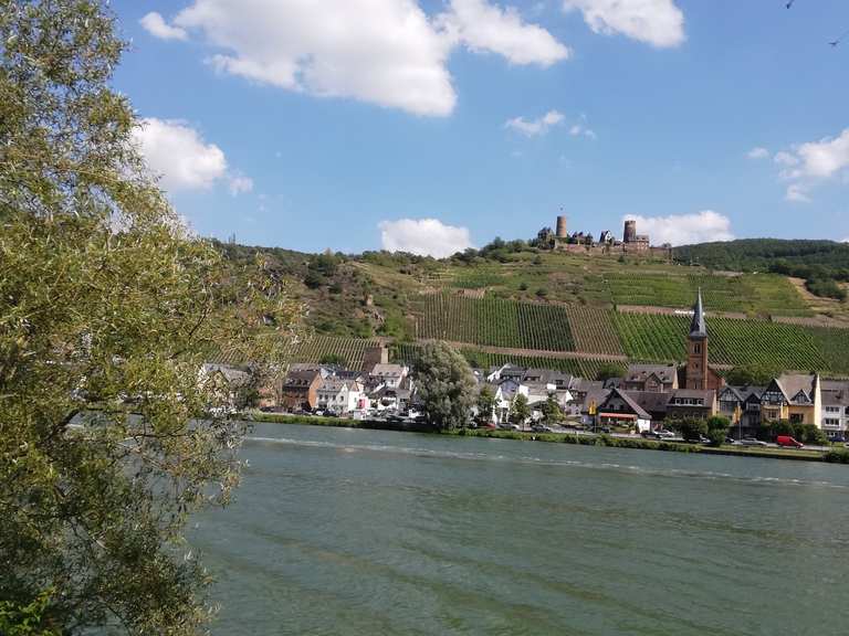 Moselradweg von Cochem nach Koblenz Hatzenport, Mayen