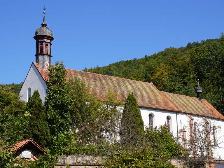 Kloster Schönau Wanderungen und Rundwege komoot