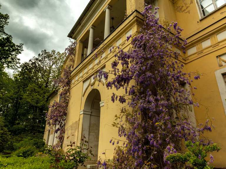 Tannenfeld Castle and Park  Hiking & Cycling Routes | Komoot