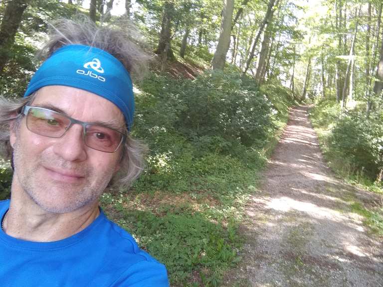 Burgruine Nordenberg Routes for Walking and Hiking | Komoot