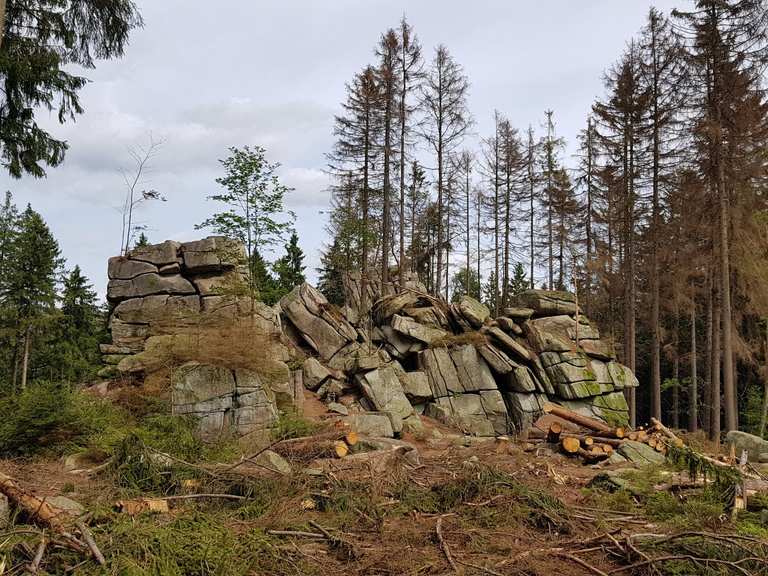 Mauseklippe Schierke Harz Hiking Tips Photos Komoot
