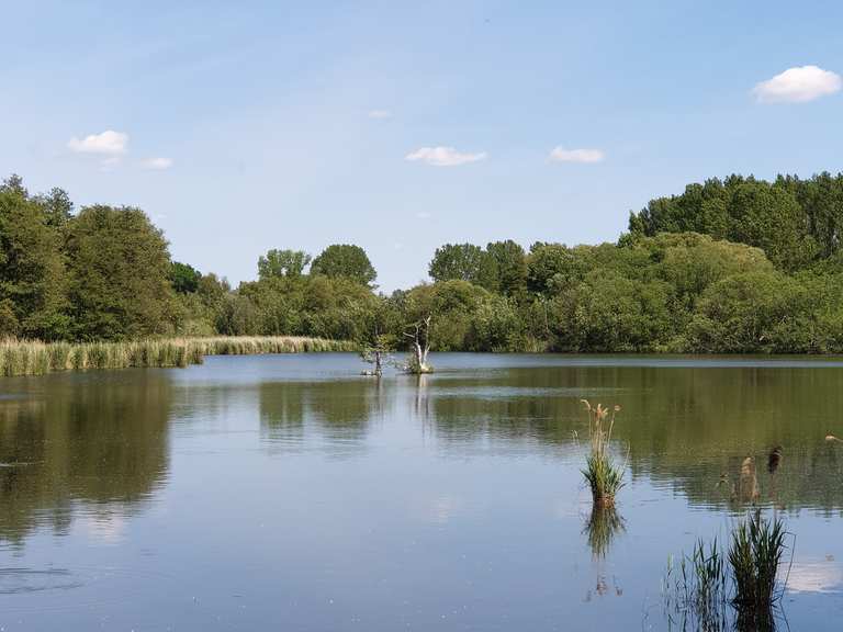 Karower Teiche Wanderungen und Rundwege komoot