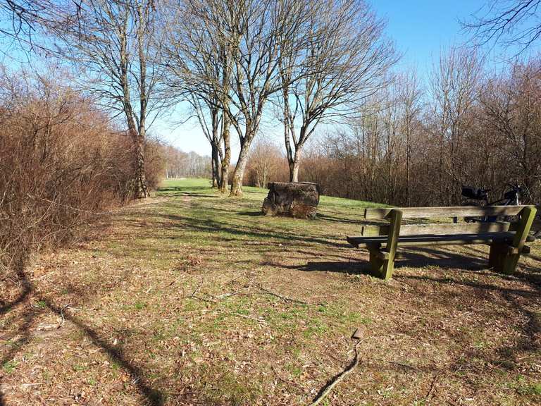 gipfel-der-bernhartsh-he-mountainbike-touren-und-trails-komoot