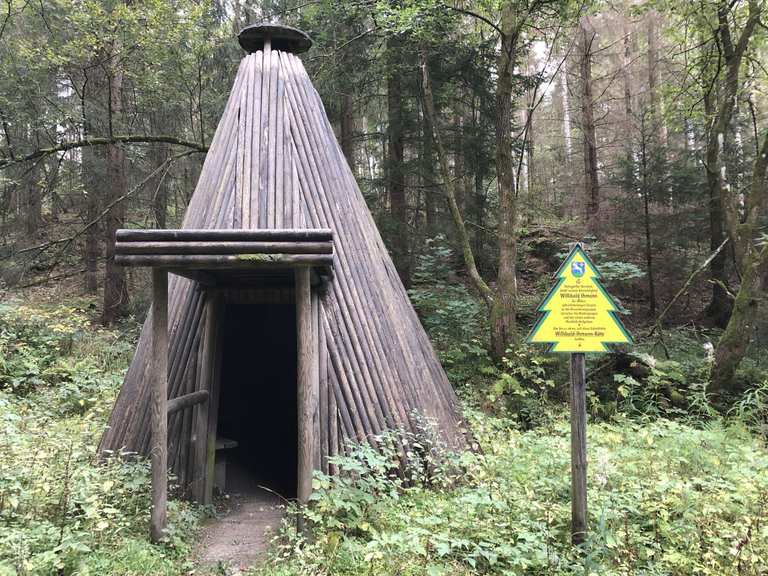 Dicke Tannen (HWN 45) Neuer Teich, Runde von Hohegeiß