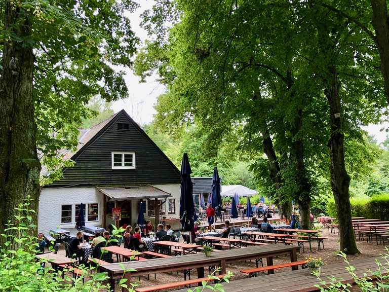 Waldschenke an der Thingstätte: Wanderungen und Rundwege | komoot