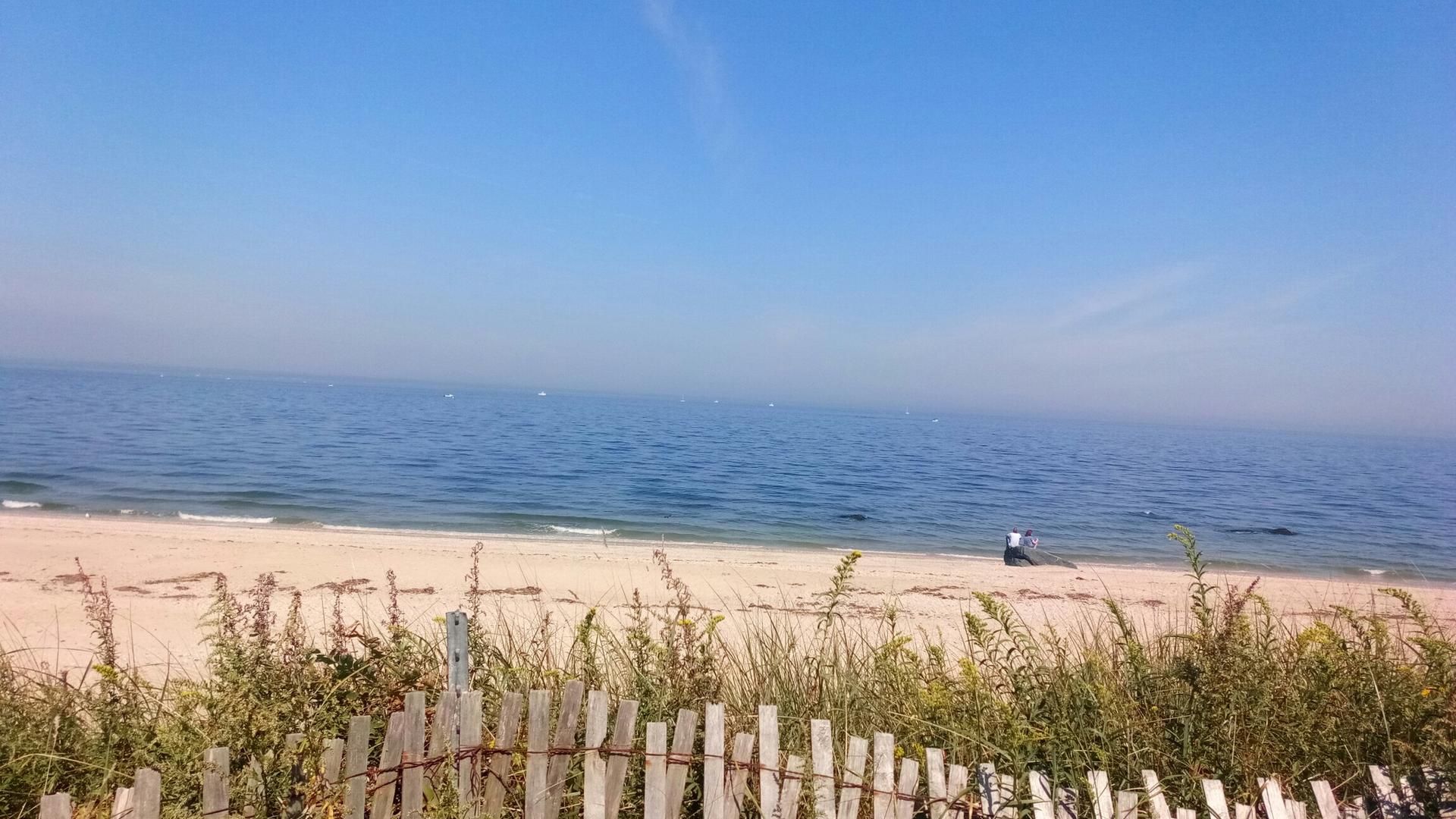 A person walks on a sunny beach next to a calm ocean and wooden fence.