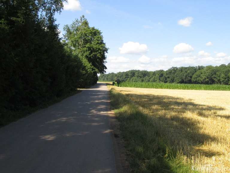 Kraut- und Rübenweg Abschnitt - fietsroutes en kaart | Komoot