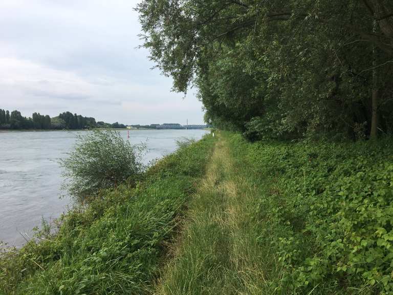 Am Rhein entlang von Rheinbrücke bis Rheinhafen Baden