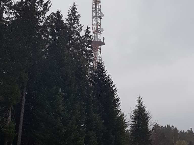 Sender Langenbrand Routes for Walking and Hiking Komoot