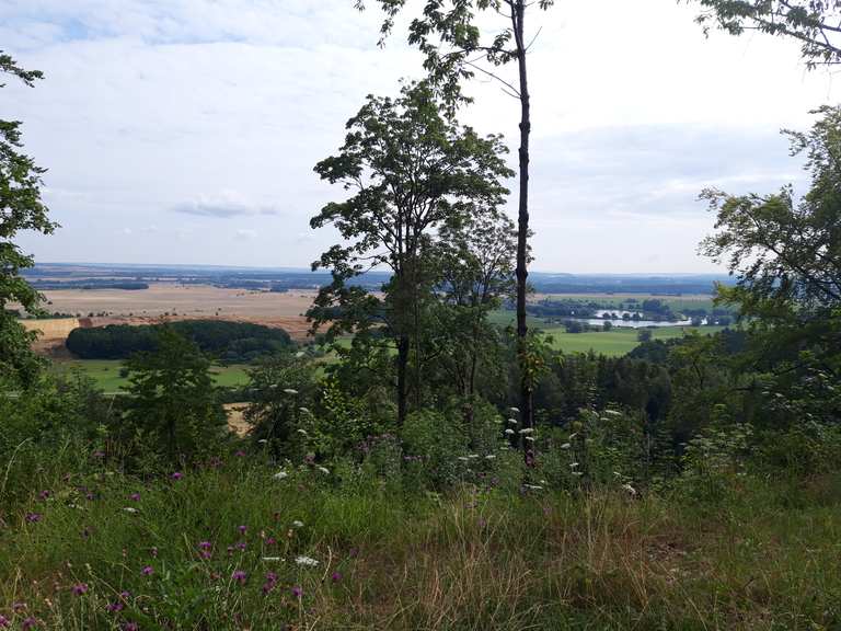 Hermannstein Radtouren und Radwege komoot