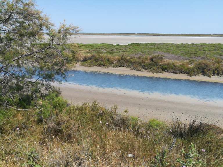 Etang de Vaccares - Reserve naturelle nationale de Camargue - Cycle ...