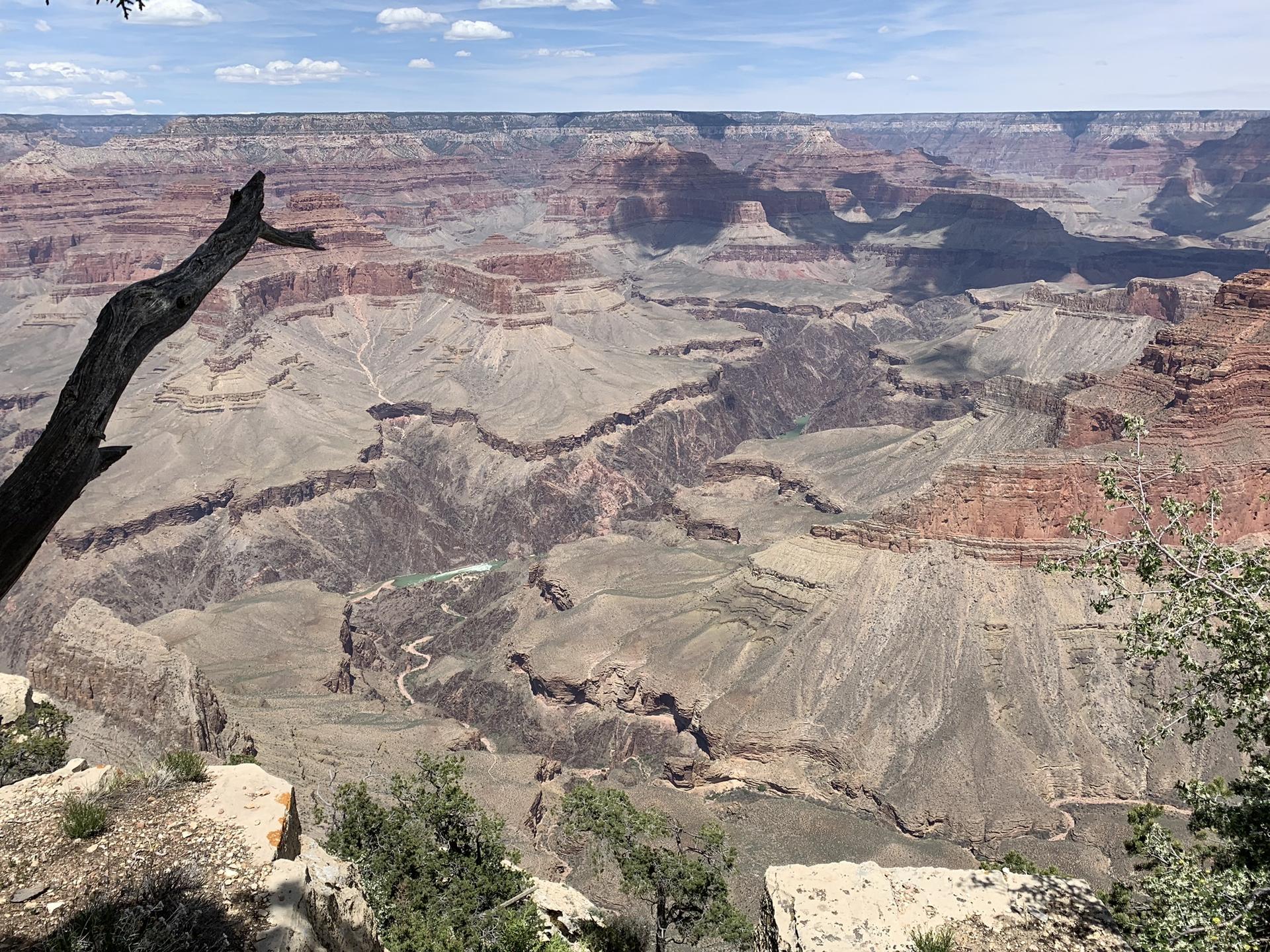 Expansive canyon landscape with a dead tree branch in the foreground, bright daylight.