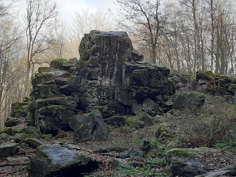 Großer Wolfstein Wanderungen und Rundwege komoot