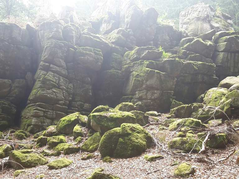 Großer Wolfstein Wanderungen und Rundwege komoot