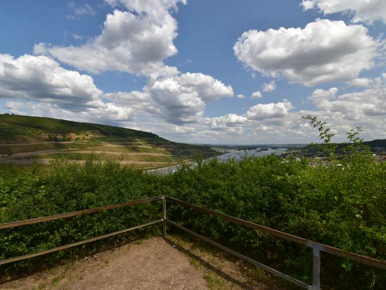 Elisenhöhe Wanderungen und Rundwege komoot