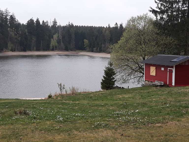 Ziegenberger Teich Wanderungen und Rundwege komoot