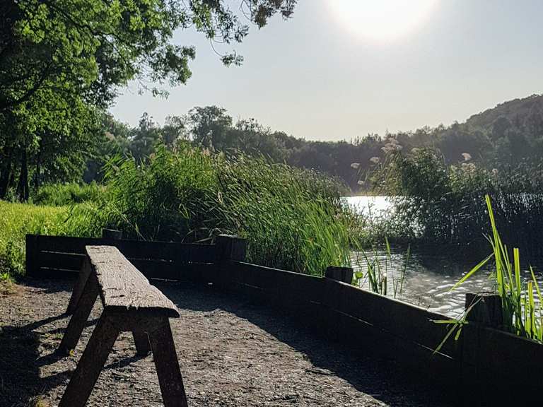 Vatteröder Teich Wanderungen und Rundwege komoot