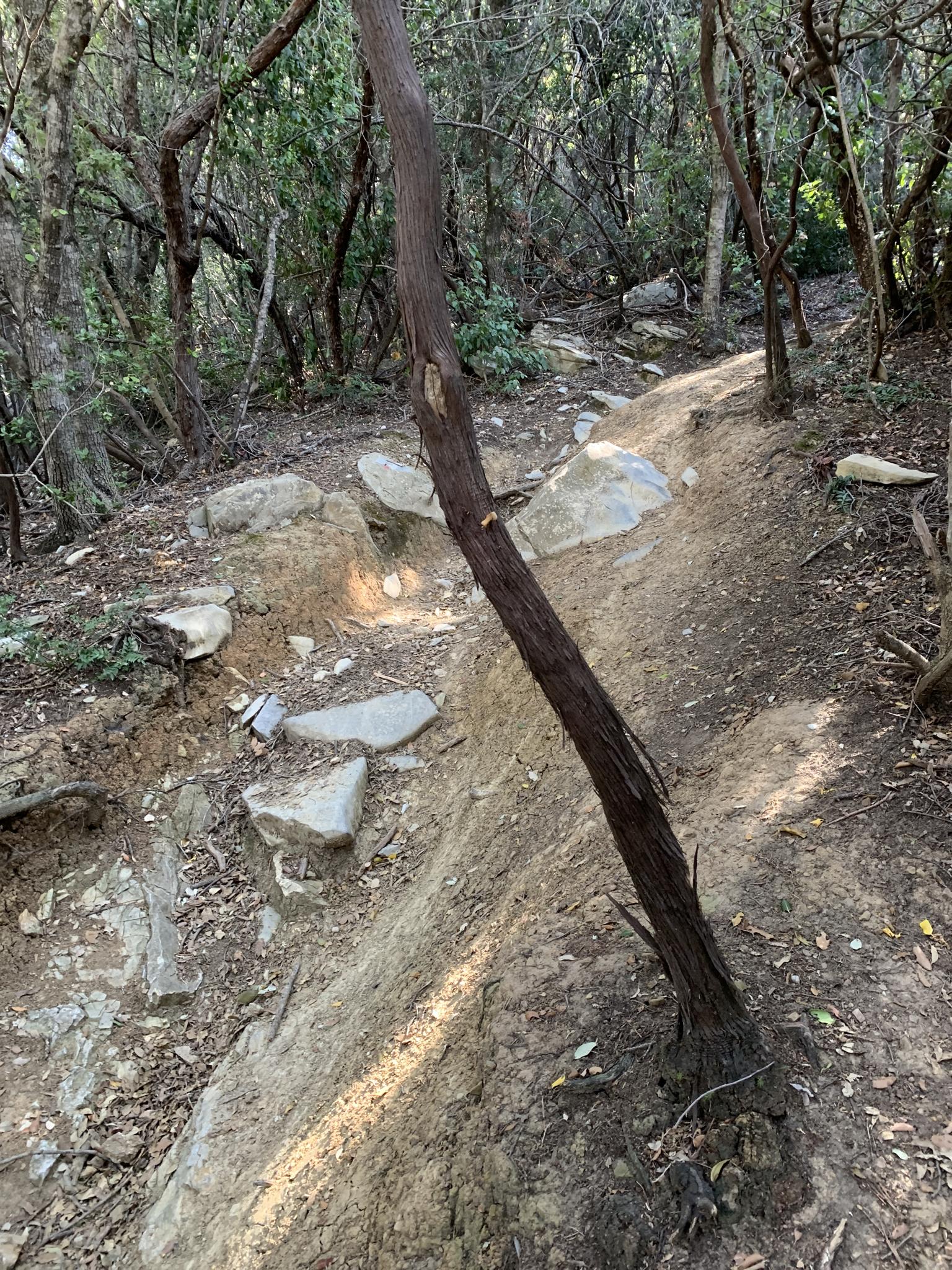 0?width=3072&height=2304&crop=false&q=70