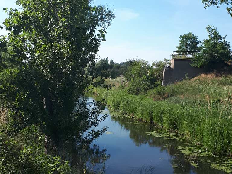 aller-ohre-wölfe mit dem fahrrad