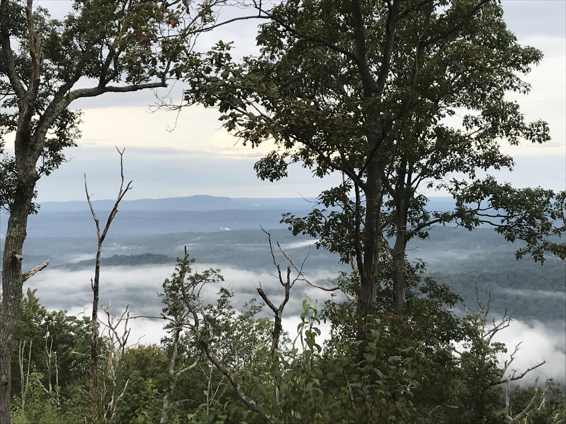 Misty valleys and distant mountains seen through dark trees at dusk.