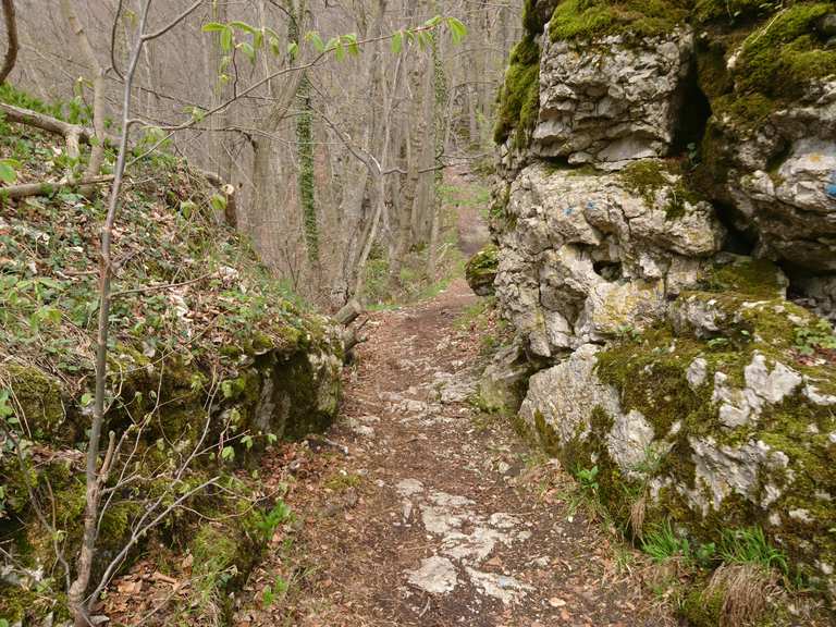singletrails reutlingen