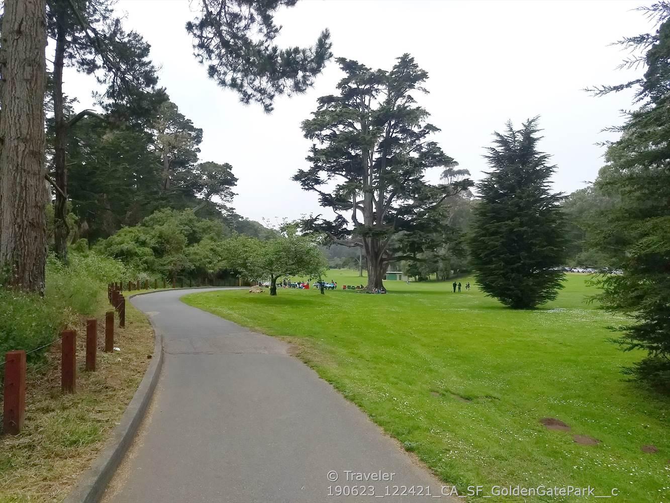 Paved path through a green park with tall trees and distant people.