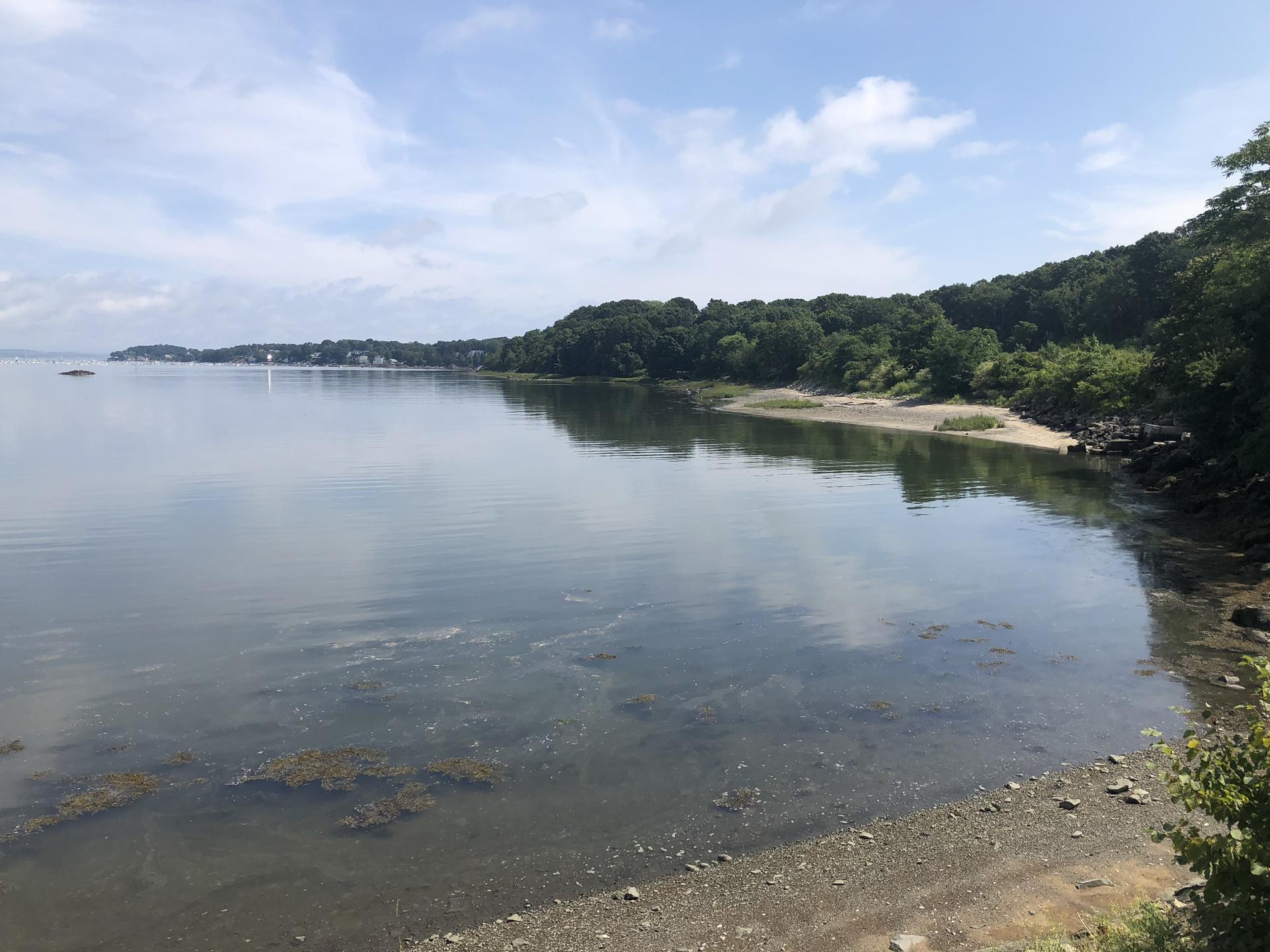 Calm water reflecting a blue sky, with a forested shoreline and sandy beach.