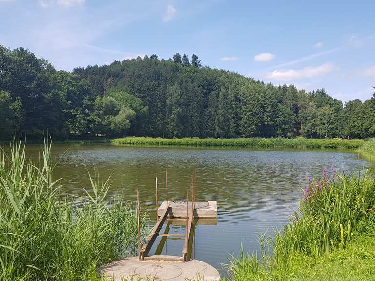 ForellenTeich in Rimbach Mountain Bike Trails & Tracks Komoot