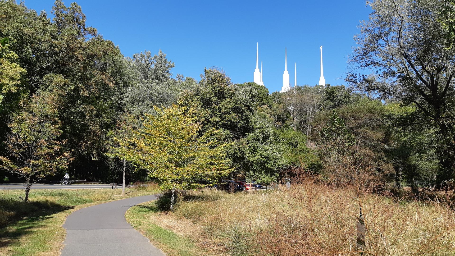 A paved path winds through green trees with white spires in the distance.