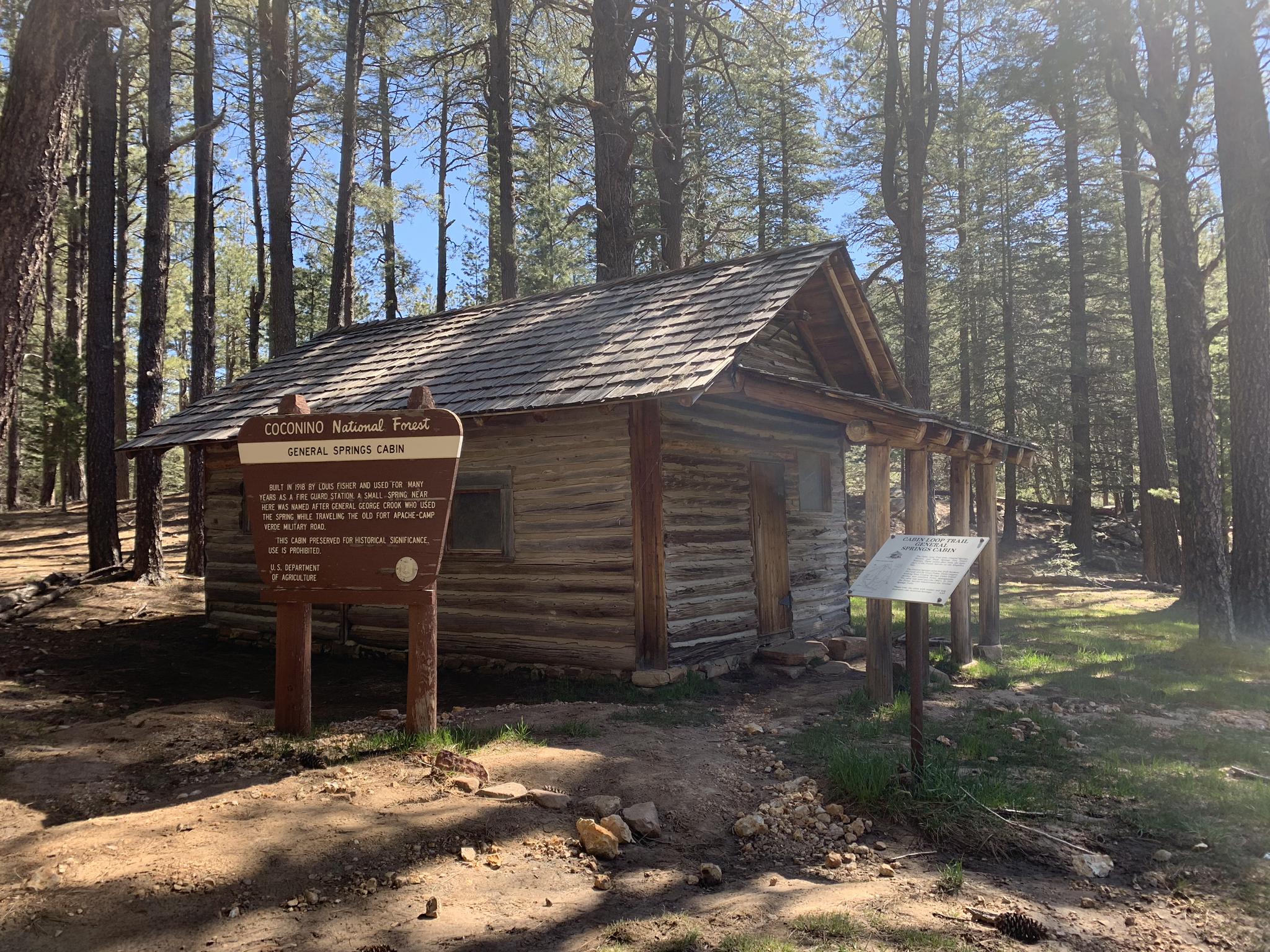 A rustic log cabin with informational signs stands in a sunlit forest.