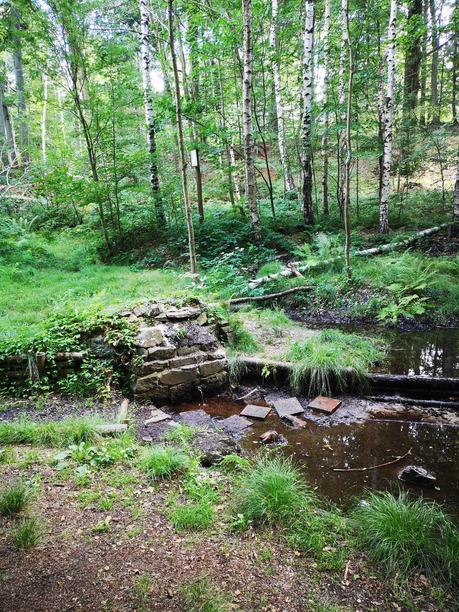 0?width=640&height=360&crop=true&q=70 Tourismus Bad Lausick &ndash; Touren - Wanderung Bad&nbsp;Lausik&nbsp;&ndash;&nbsp;Parthequelle