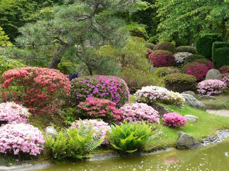 Japanischer Bonsaigarten Ferch  Wander- & Radrouten | Komoot
