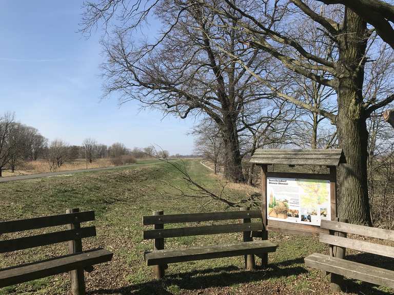 Weg an der Spree DissenStriesow, SpreeNeiße