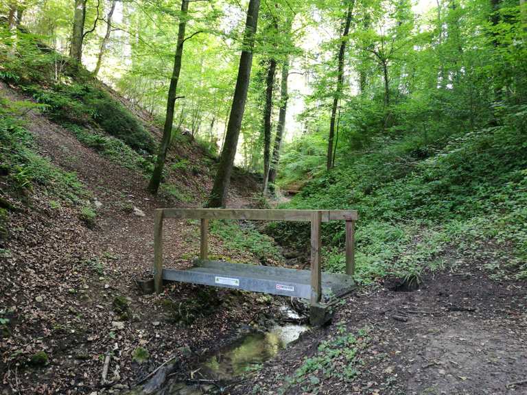 Ruschbachtal / Rütschenbachtal - Routes for Walking and Hiking | Komoot