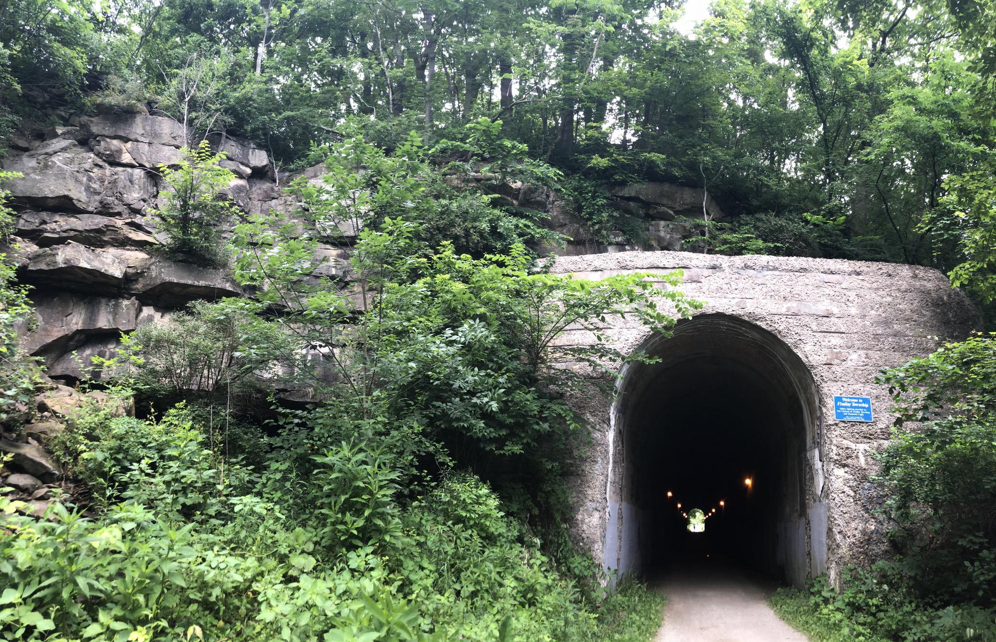 A dark, arched tunnel entrance surrounded by green trees and rock.