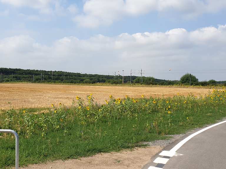 Radschnellweg Darmstadt...frankfurt Egelsbach, Offenbach