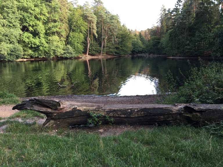 Donoper Teich (Damm) MountainbikeTouren und Trails komoot