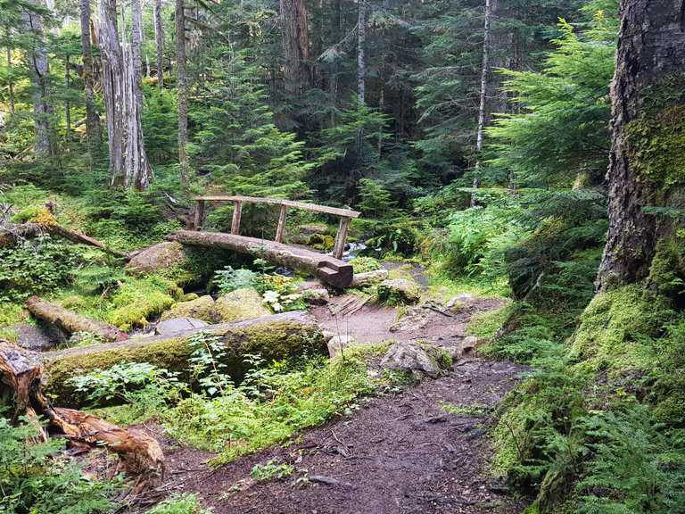 Little river trail olympic national outlet park