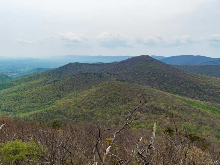 Big Schloss via Mill Mountain Trail — Wardensville Wildlife Management Area hike Komoot