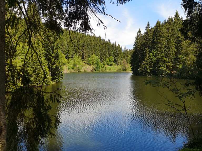 Grumbacher Teich Schutzhütte (HWN 113) wandelroutes en hikes Komoot